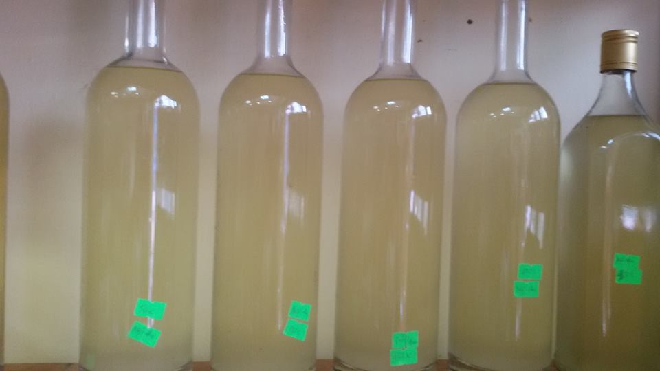 Men Rượu Sạch Thái An