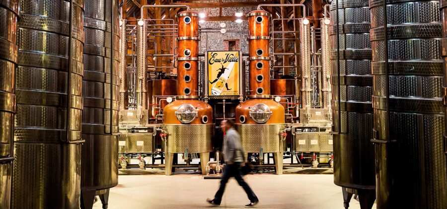 Men Rượu Sạch Thái An