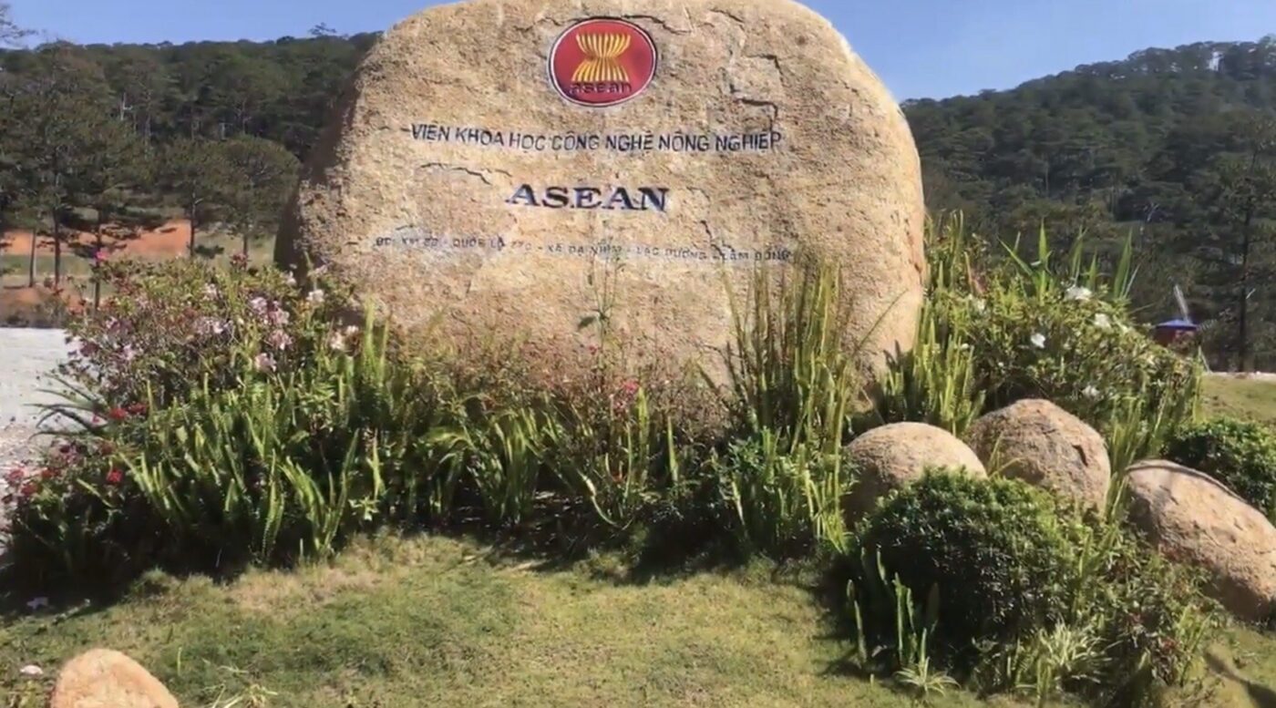 Men Rượu Sạch Thái An