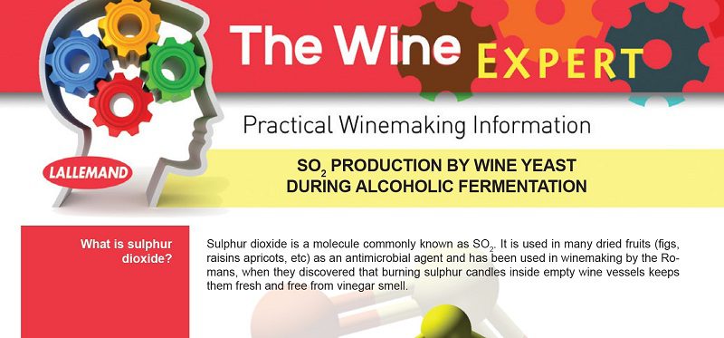 Men Rượu Sạch Thái An