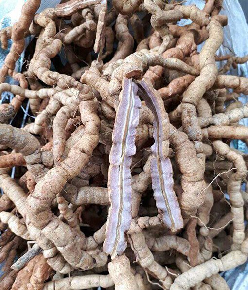 Men Rượu Sạch Thái An