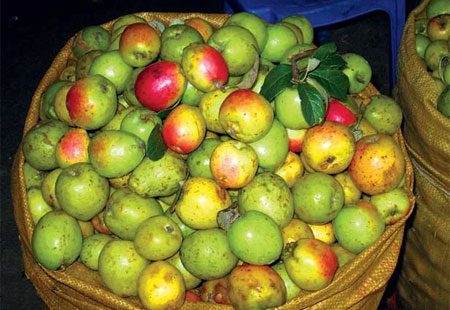 Men Rượu Sạch Thái An