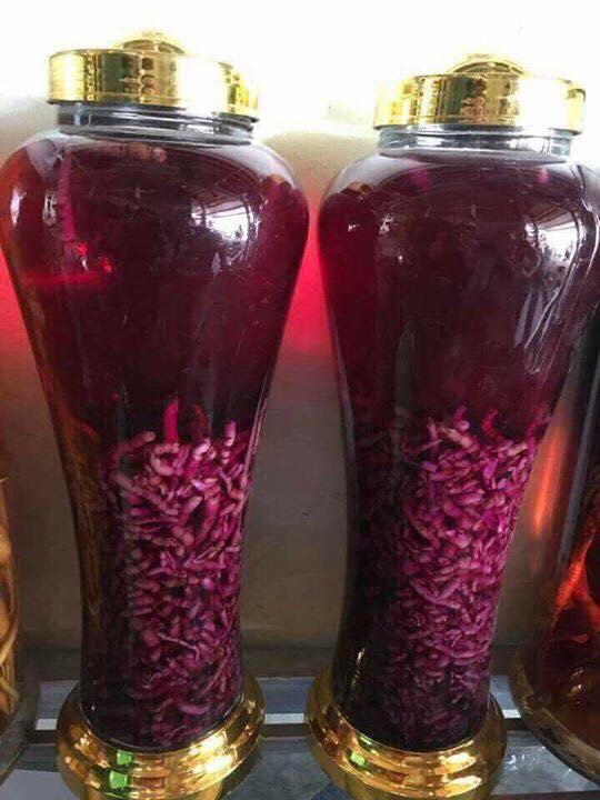 Men Rượu Sạch Thái An