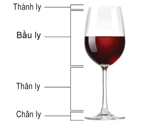 Men Rượu Sạch Thái An