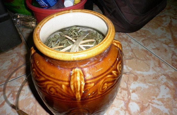 Men Rượu Sạch Thái An