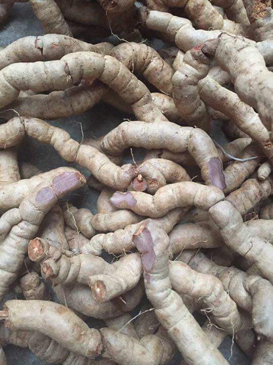 Men Rượu Sạch Thái An