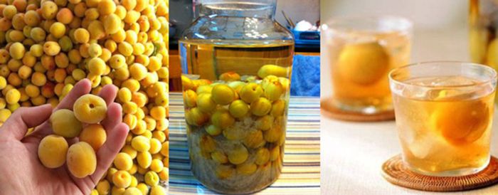 Men Rượu Sạch Thái An