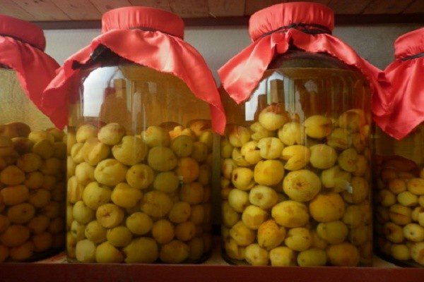 Men Rượu Sạch Thái An