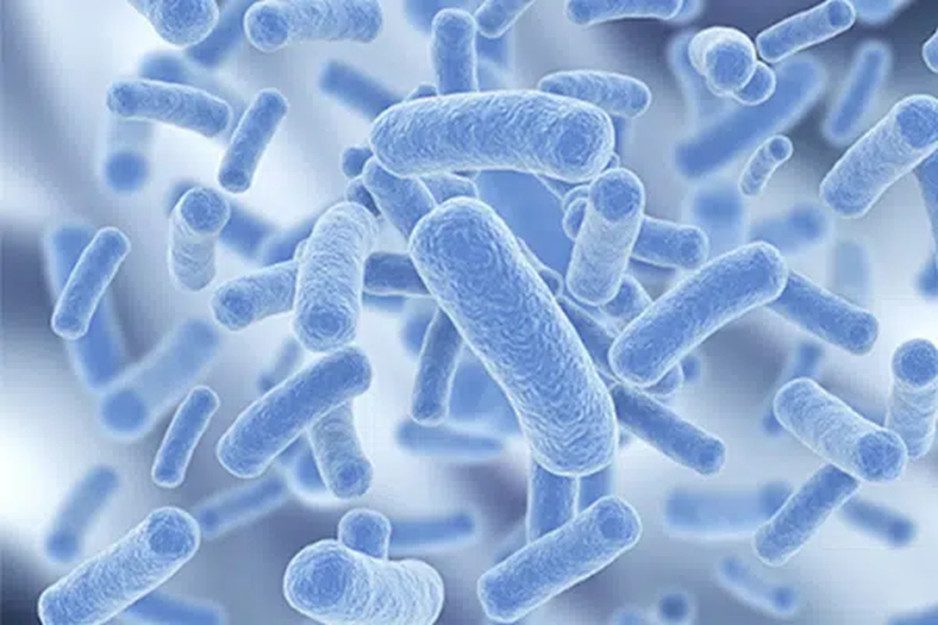 Men Rượu Sạch Thái An