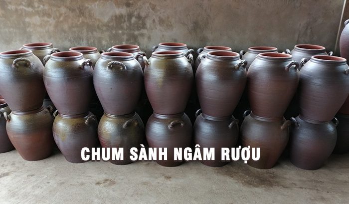 ngâm rượu trong chum sành