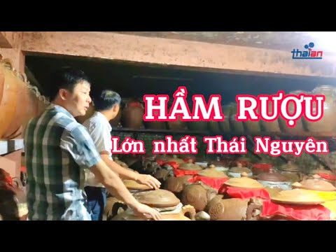 Men Rượu Sạch Thái An