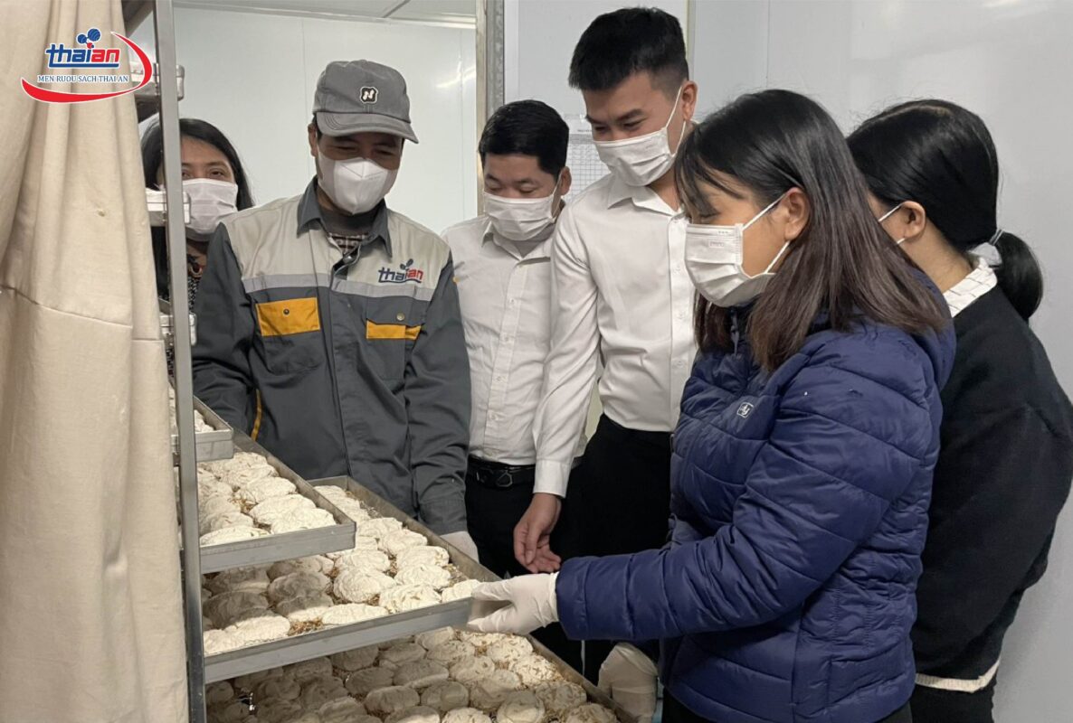 Men Rượu Sạch Thái An