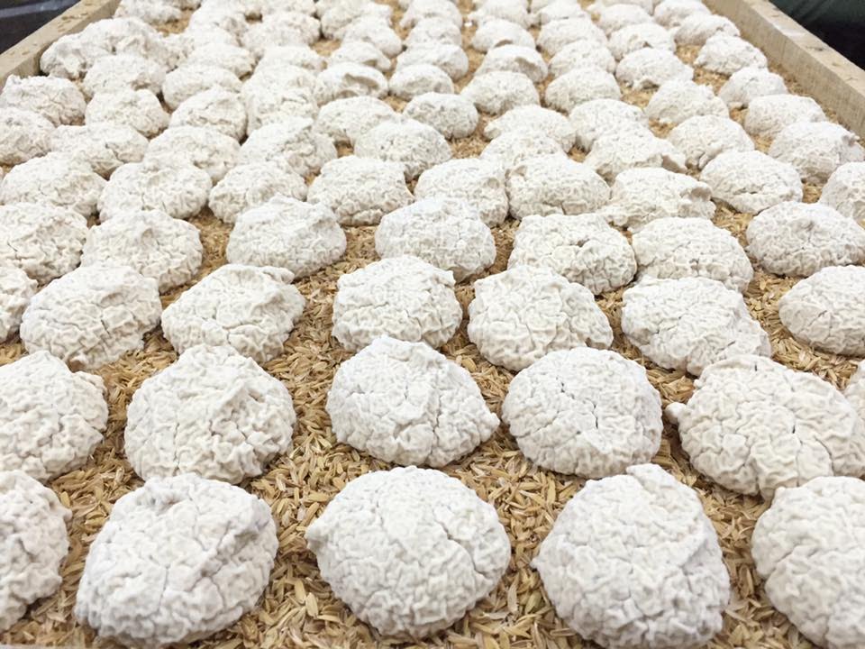 Men Rượu Sạch Thái An