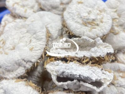 men thuốc bắc Thái An