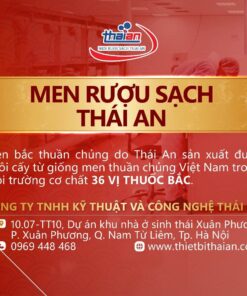 men rượu sạch Thái An