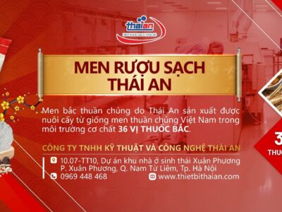 men rượu sạch Thái An