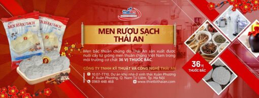 men rượu sạch Thái An