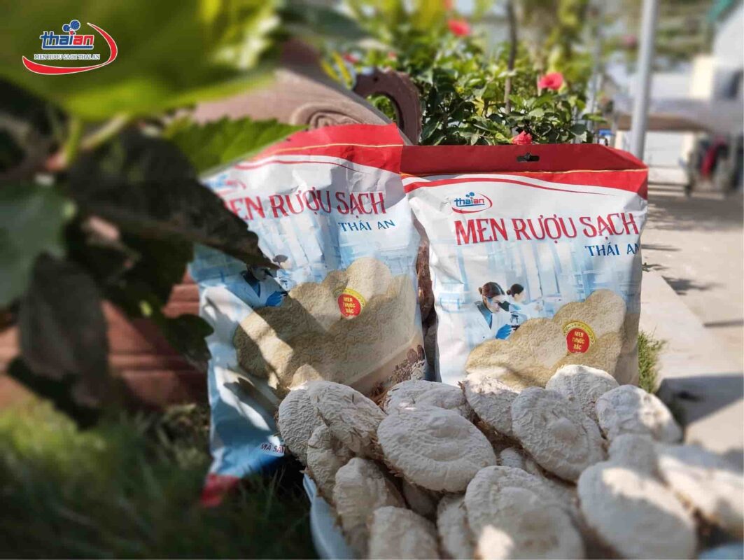 Men Rượu Sạch Thái An