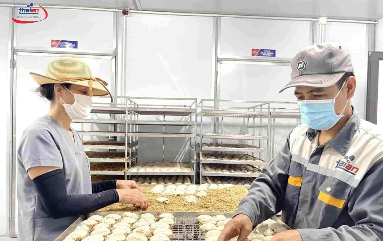 Men Rượu Sạch Thái An