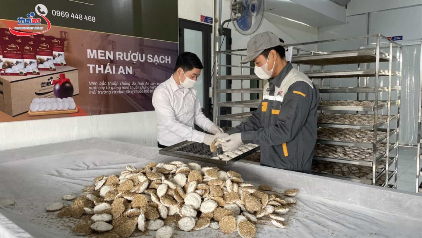 Men Rượu Sạch Thái An