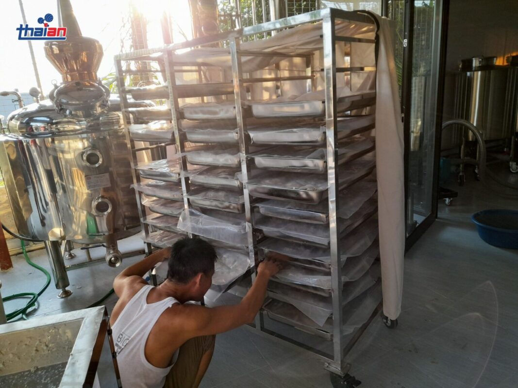 Men Rượu Sạch Thái An