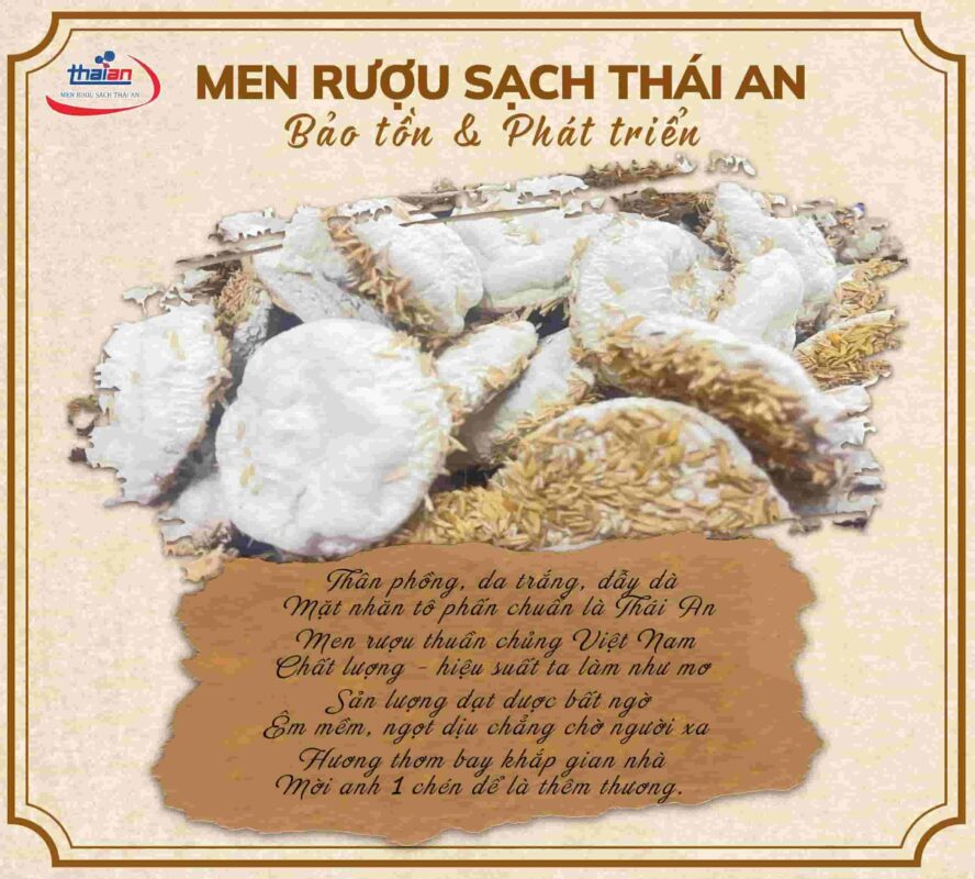 Men Rượu Sạch Thái An