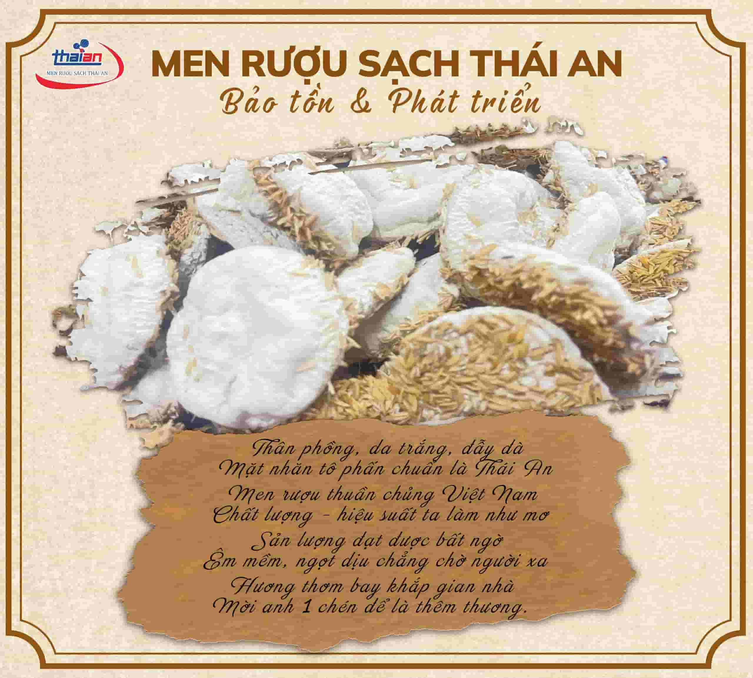 Men rượu thuốc bắc Thái An