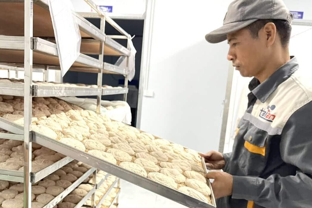 sản xuất men rượu sạch Thái An