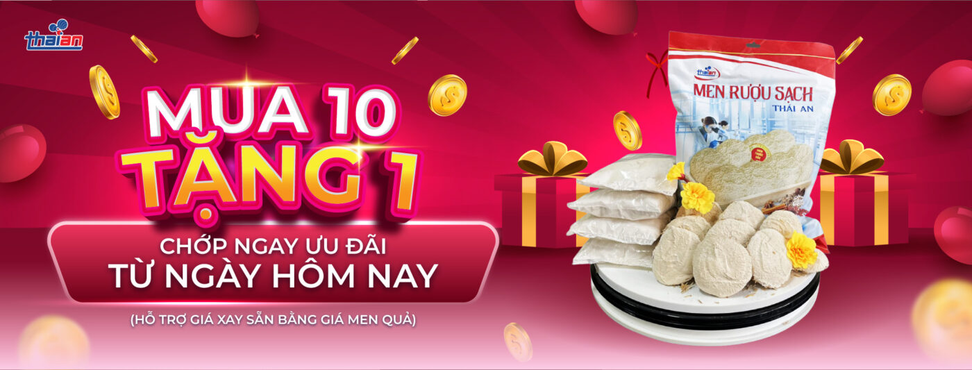 Mua 10 tặng 1